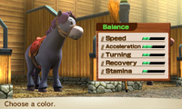 HorseBalance-Female3.png