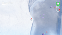SMO Snow Coins D.png