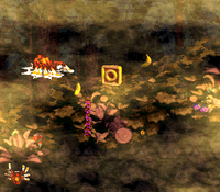Web Woods DKC2 Letter O.png