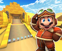 MKT Icon DryDryRuinsRWii MarioAviator.png