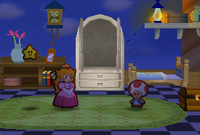 PM Castle Closet Toad.png