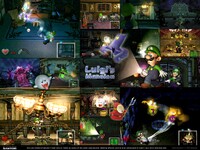 LM Collage.jpg