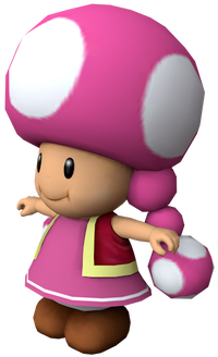 MSB Toadette Model.png