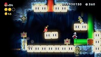 NSMBU 6-4 Coin 3.jpg