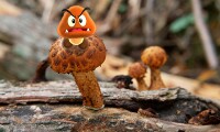 PwM Goomba Screenshot 4.jpg