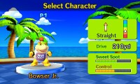 BowserJrMGWT.jpg