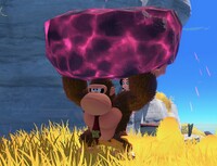 DK BoomRock chunk.jpg