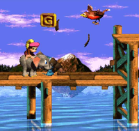 FN210Booty Bird.png