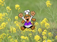 WWSM Blog Mona 2.jpg