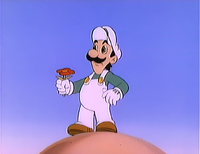 SMBSS Fire Luigi.png