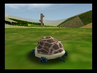 MAPS Porigoneshia.png