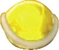 Gold Shell SM3DW Prima.jpg