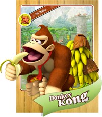 Level1 Donkeykong Front.jpg