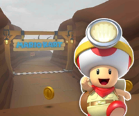 MKT Icon ChocoMountainN64 CaptainToad.png