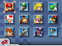 Mario Kart DS Roster.png