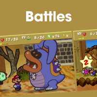NM PM Battles PL.png
