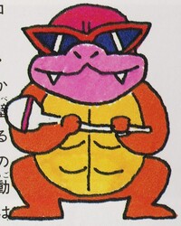 SMW Kanzenhan Roy 02.jpg