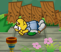 Koops Flipped Cropped.png