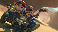 MKWorldFreeroamWarioWaluigi.png