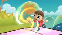 SSBU Pocket.jpg