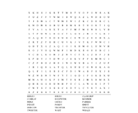 Word Search 113.png
