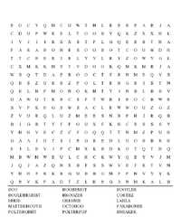 Word Search 115.png