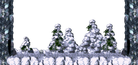 DKCUnusedBonus6.png
