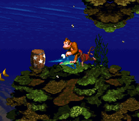 DKC V1 1.png