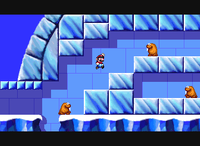 Igloo12SMWW.png