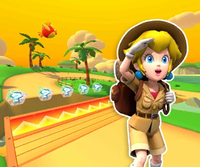 MKT Icon CheepCheepIslandRGBA PeachExplorer.png
