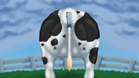 NM WWMI Shoo Fly.png