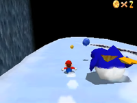 SM64DS Big Penguin Race.png