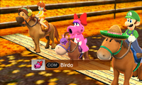Birdo Horse Advanced-MSS.png