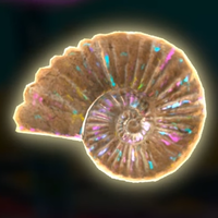 DKB Fossil Ammonite.png