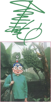 Mototin SDKwM2.png