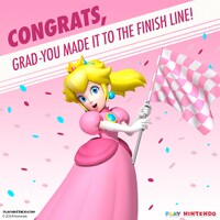 Play Nintendo Graduation 4.jpg