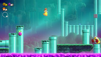 SMBW swamp level.png