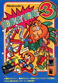 DK3 Japanese Flyer.jpg