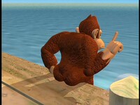 DK Pier DKC TV.jpg