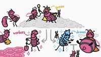 MinuteEarth Honey Queen.jpg