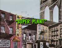 TSMBSS Super Plant title card.png