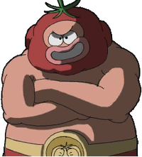 WK Gaz Puncho.png