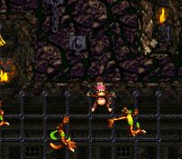 ChainLinkChamberSNES1.png