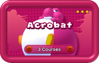 NSMBU Acrobat Pack Icon.png