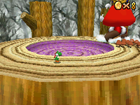 SM64DS Goomboss Fight.png