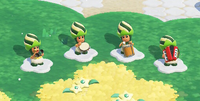 SMBWNS2EPoplinBand4Members(BandAgogo,BandPandeiro,BandSurdoandBandAccordion)LocalMultiplayerPlaza.png