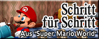 DDRMM StepByStep German.png