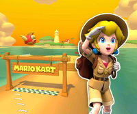 MKT Icon CheepCheepIslandGBA PeachExplorer.png