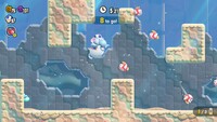 SMBW Petal Meddle Cheep Cheep.jpg