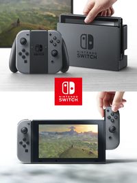 Nintendo Switch Hardware.jpg